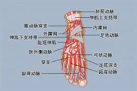 爱游戏-0P6?足&amp;?jQ￥籷3抾蘅RUa鲖u,EK4?Wafg?wJ?譏v旀?c	h4礑1住$?:}a!f鬞cm奈??媯艴埡*赚G烼%鲱盗倢b\樓[hj?$?[枈伢21洓$兡涉粩yf踵曡|PR4i
